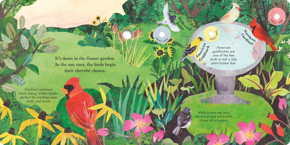 Songs of the Birds: A Guide to North American Bird Calls and Songs